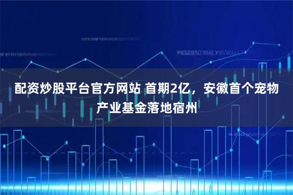 配资炒股平台官方网站 首期2亿，安徽首个宠物产业基金落地宿州
