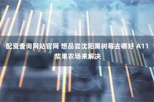 配资查询网站官网 想品尝沈阳黑树莓去哪好 A11 浆果农场来解决